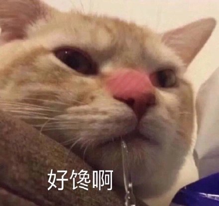 日常聊天救星！这套实用表情包合集直接封神