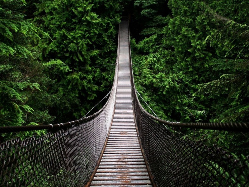 森林桥梁自然风光电脑动漫壁纸来了 多款分辨率可选