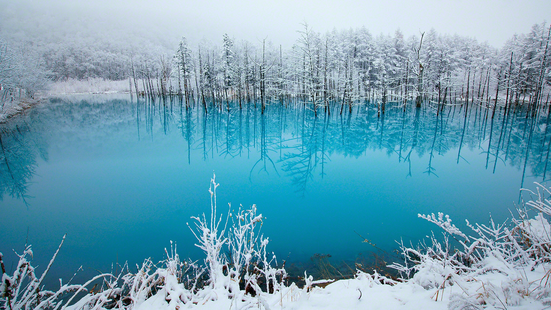 北海道冬日湖景雪景壁纸