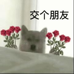 超火的狗勾玩飞刀表情包合集