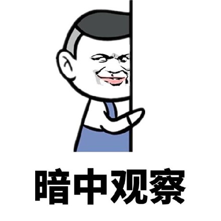 斗图常备表情：暗中观察