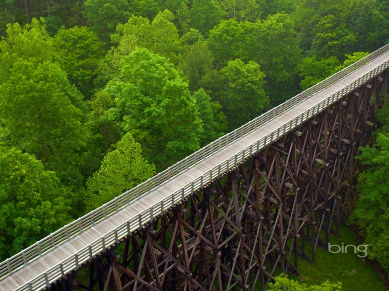 美国弗吉尼亚州的爬山虎小道壁纸 治愈系森林桥景直接当桌面