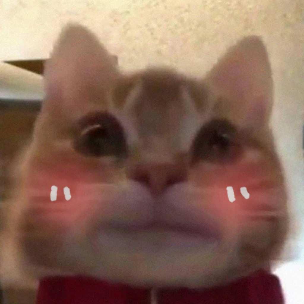 超火歪嘴小猫表情包合集，斗图必备