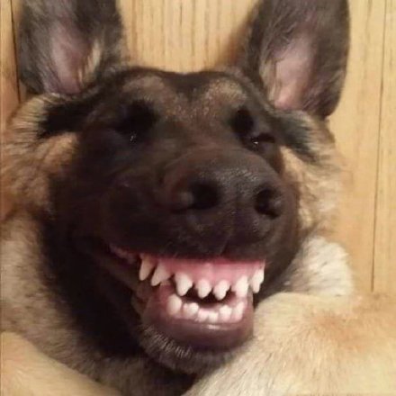 12月23日热门表情包合集来啦