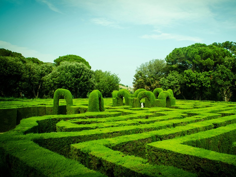 超治愈！带迷宫绿植的晴朗天空护眼风景电脑壁纸