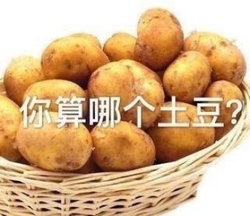怼人神器！这套“你算个啥”表情包太绝了