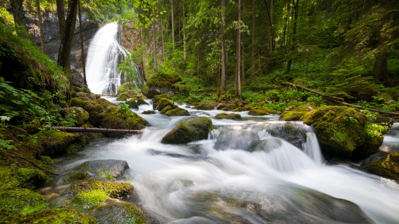 超治愈森林瀑布！这套高清风景壁纸太适合当电脑桌面了