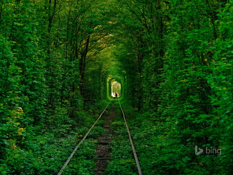 乌克兰爱的隧道绝美风景壁纸来了 护眼绿色治愈感拉满