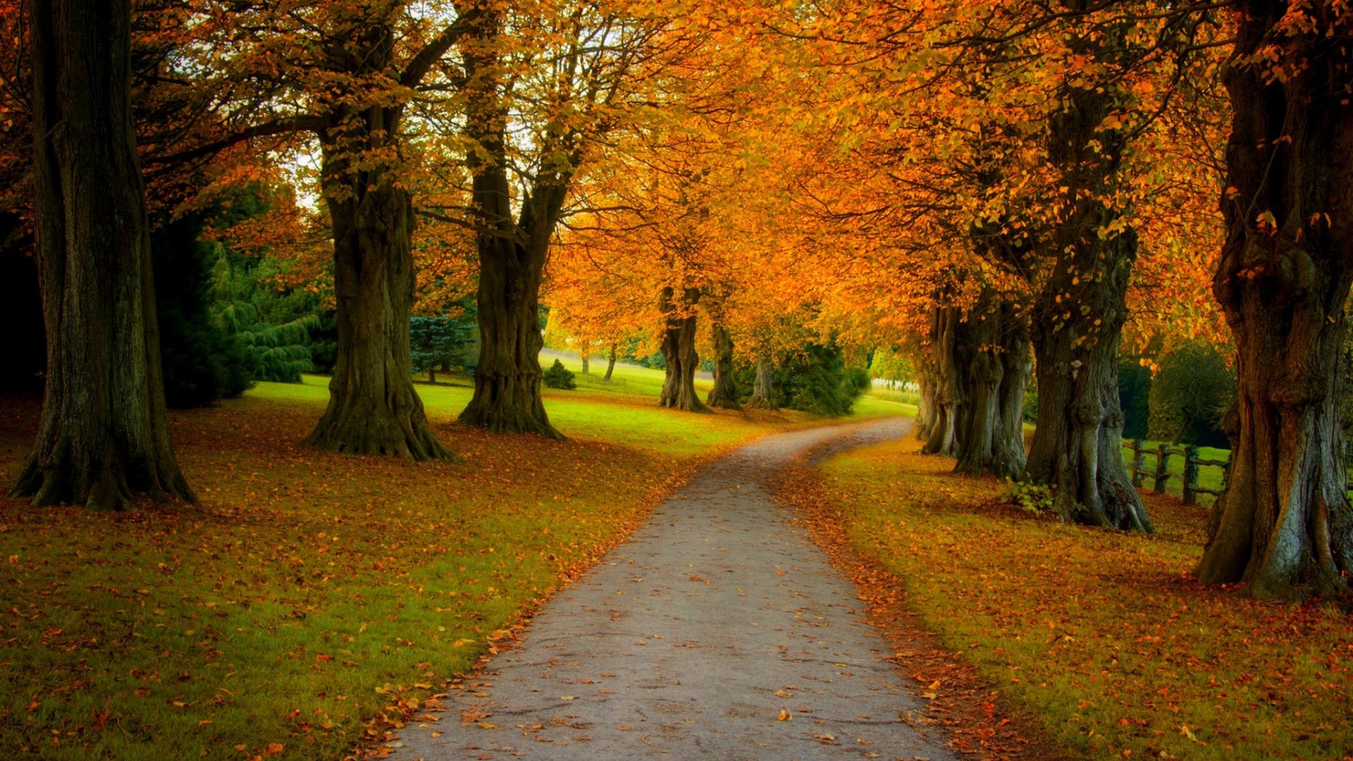 秋日森林公路公园美景 电脑动漫壁纸合集