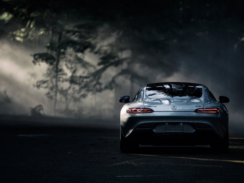 款奔驰AMG GTS银色森林主题电脑壁纸 高清汽车桌面图分享