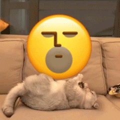 小猫咪踹小黄脸表情包合集