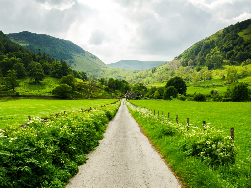 春天氛围感拉满！这款带山和小屋的护眼草地壁纸太治愈了