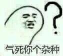 吵架怼人能用的表情包合集