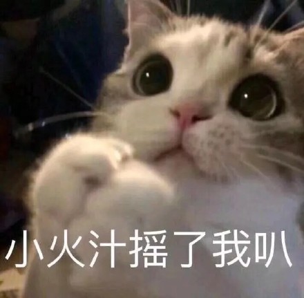 日常聊天救星！这套实用表情包合集直接封神