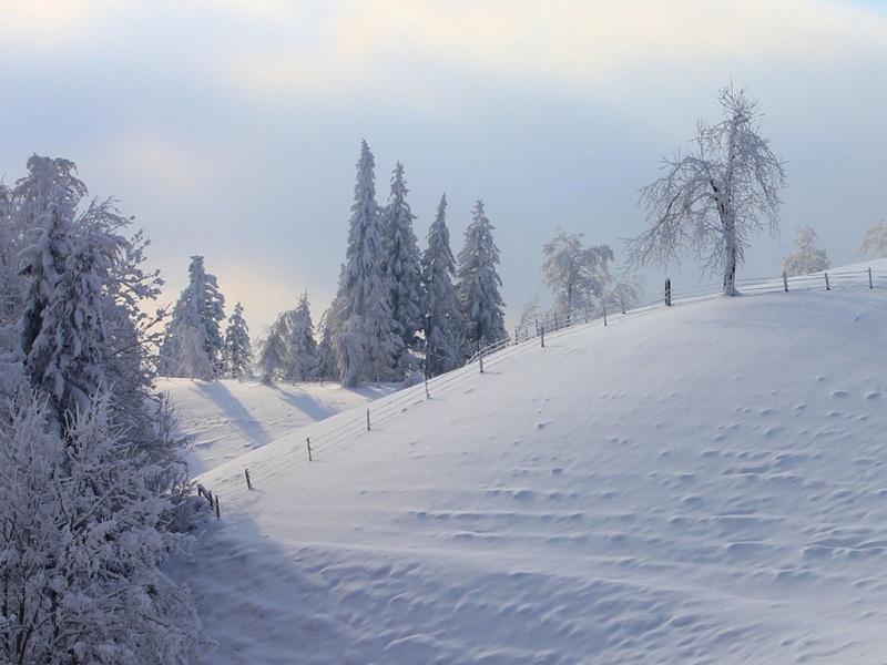 冬日雪景木栅栏 适配电脑的高清动漫风景壁纸
