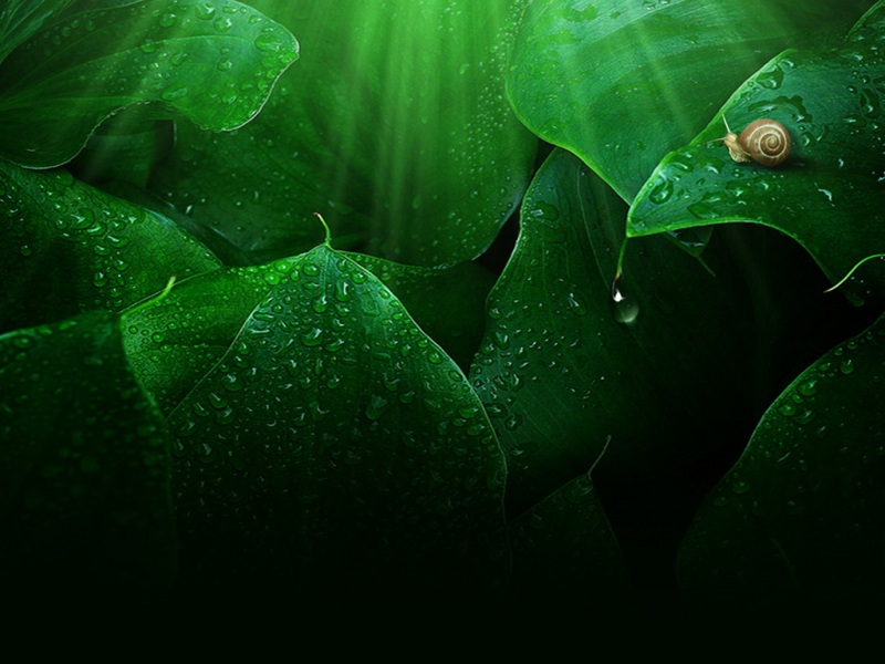 雨过天晴的风景电脑动漫壁纸，多款分辨率任你选