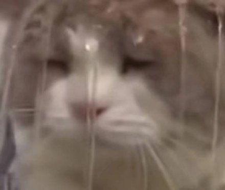 7月8日斗图表情包合集来啦