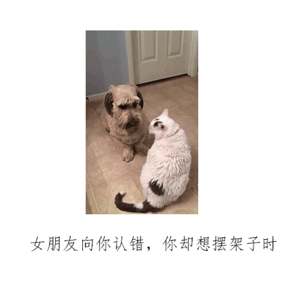 这套表情包也太真实了！说的不就是你女朋友吗