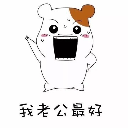 聊天斗图新素材：我老公好像丢了系列表情包