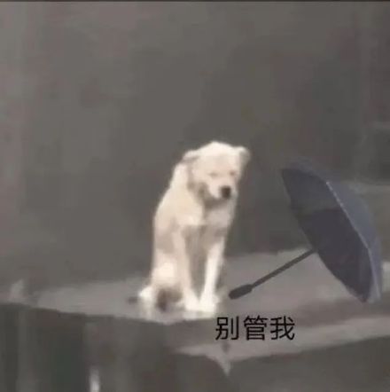 当下爆火的修勾撑伞表情包合集