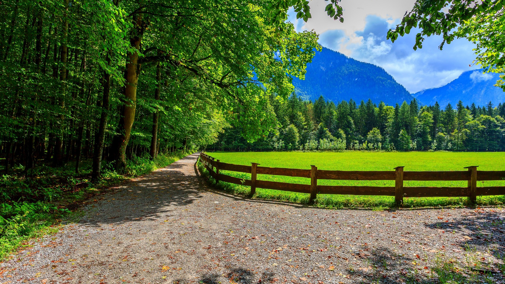 春日森林公园围栏边的天空云景壁纸