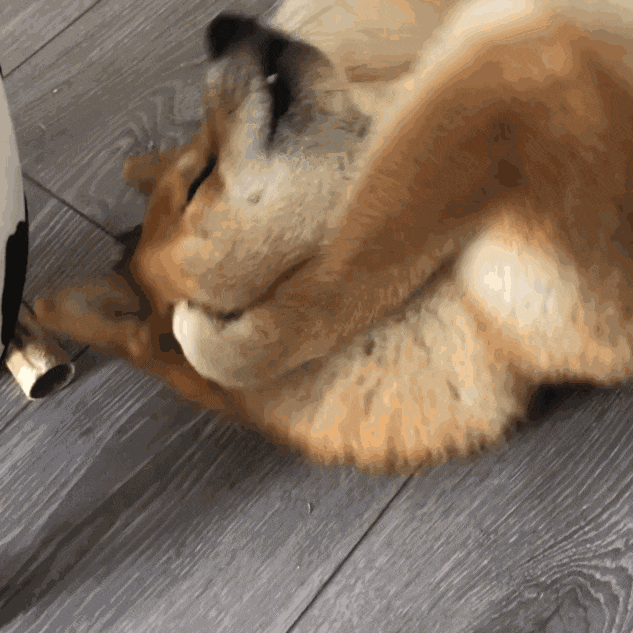 聊天党必备！好用又好玩的表情包合集