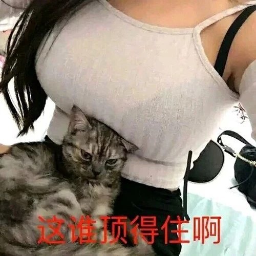 「这谁顶得住啊」表情包合集来了