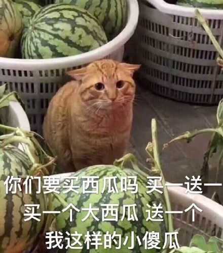 6月17日斗图表情包合集来啦