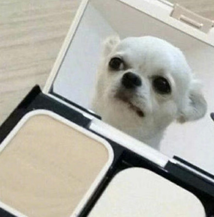 聊天斗图必备！无字表情包合集来啦