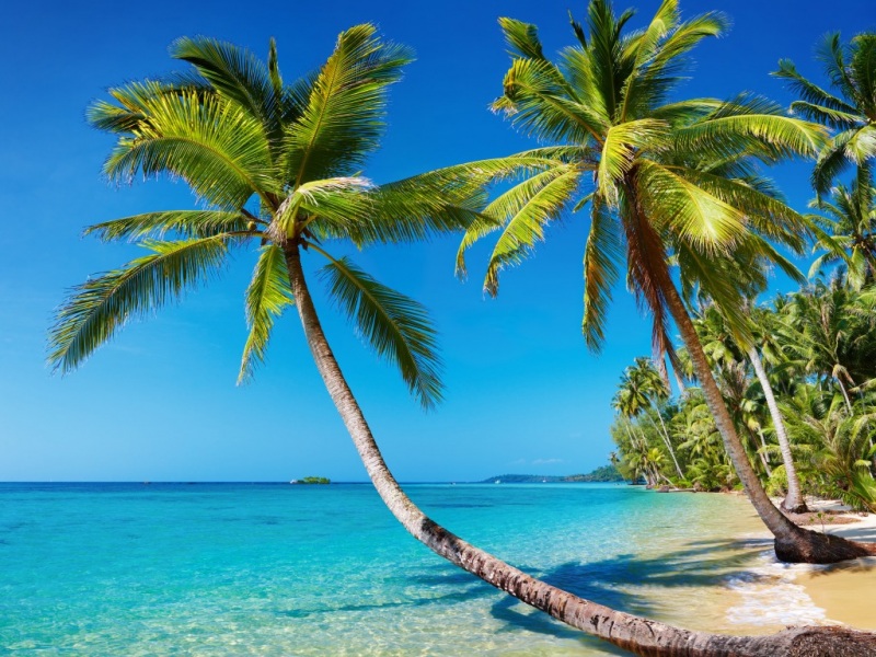 热带棕榈海空风景电脑桌面壁纸来了