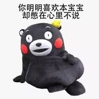 熊本熊撩人表情包合集来了