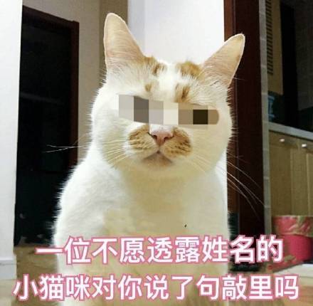 敲里吗！敲里lai lai 斗图表情包合集