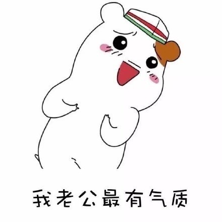 聊天斗图新素材：我老公好像丢了系列表情包