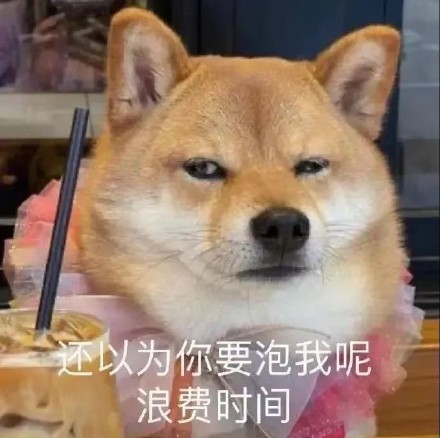 铲屎官斗图必备！这套猫猫狗狗表情包太好用了