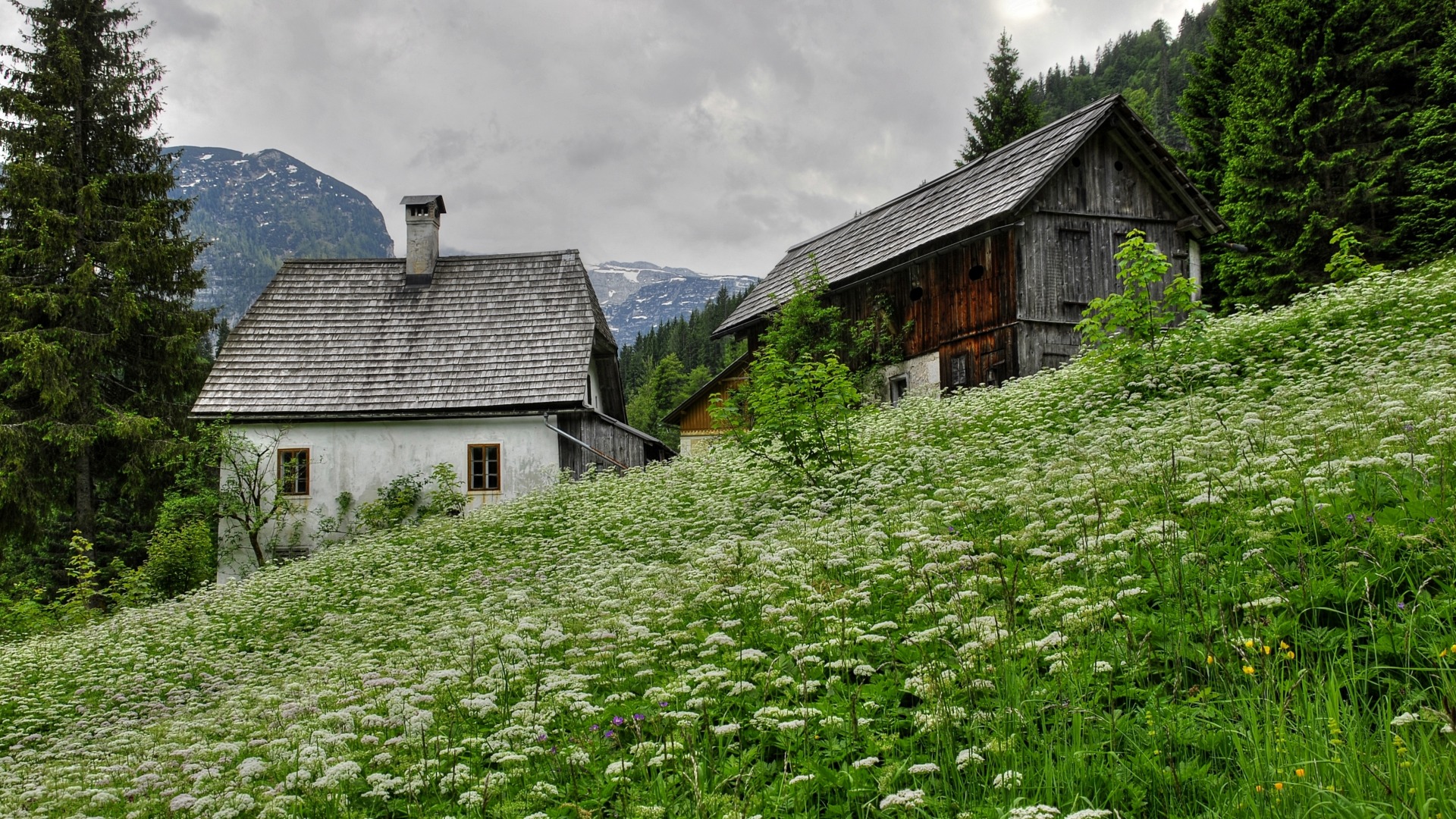 山树林农场谷仓野花风景电脑桌面壁纸来了