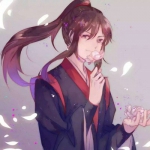 蓝忘机魏无羡情头 32张高清一左一右情侣头像合集