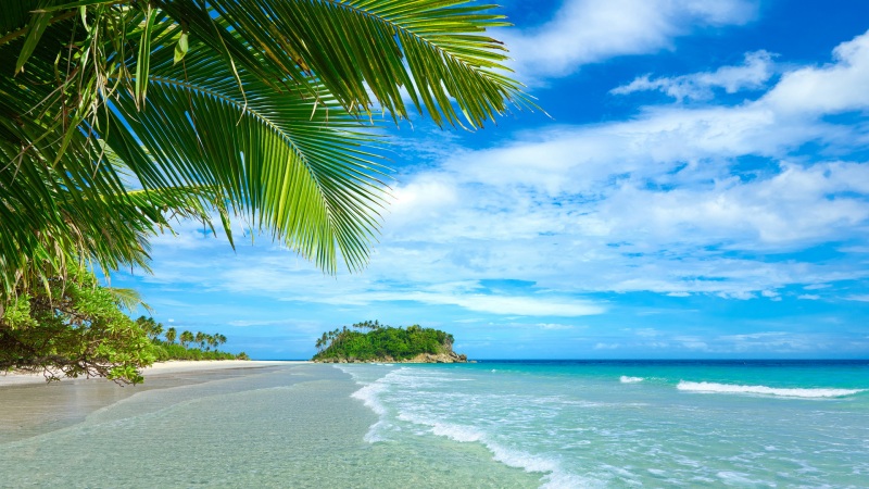 夏日海边棕榈天景壁纸上新
