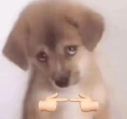 铲屎官集合！超萌猫猫狗狗揣手手表情包来啦