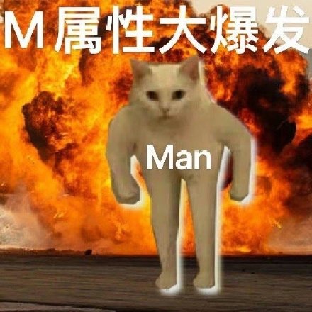 S属性M属性爆发表情包合集来了