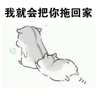 撩妹专用！“做我男朋友，待遇超好的哦”表情包合集