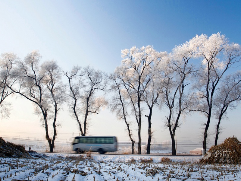 冬日氛围感拉满！公路汽车雪地田园电脑壁纸合集