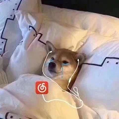 8月24日斗图表情包合集来啦