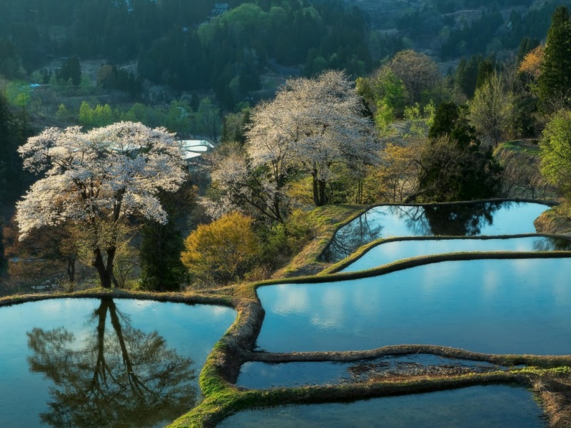 氛围感拉满！乡村耕种风景电脑动漫壁纸