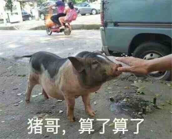 聊天斗图必备！“大哥 算了算了”系列表情包合集