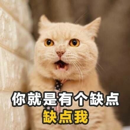 整理好的土味情话表情包合集，撩妹撩汉都能用