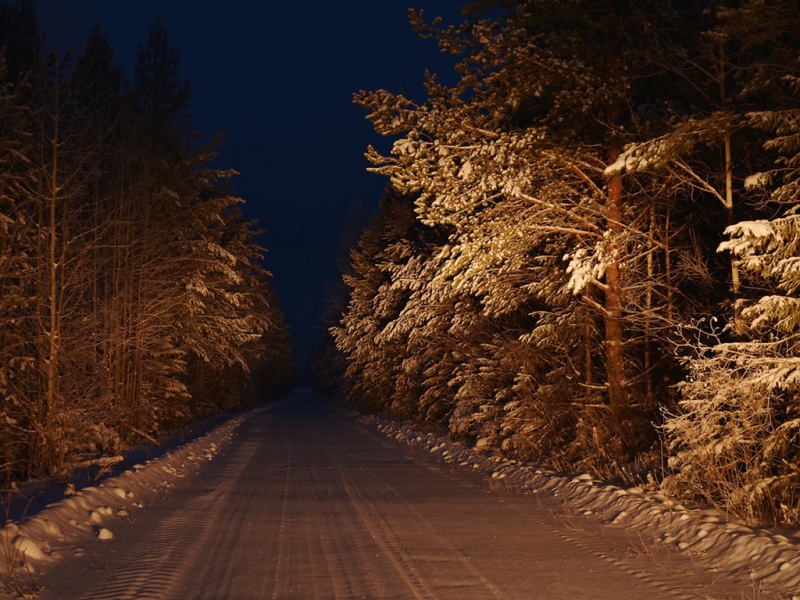 夜晚林间雪路！冬季氛围感电脑动漫壁纸推荐
