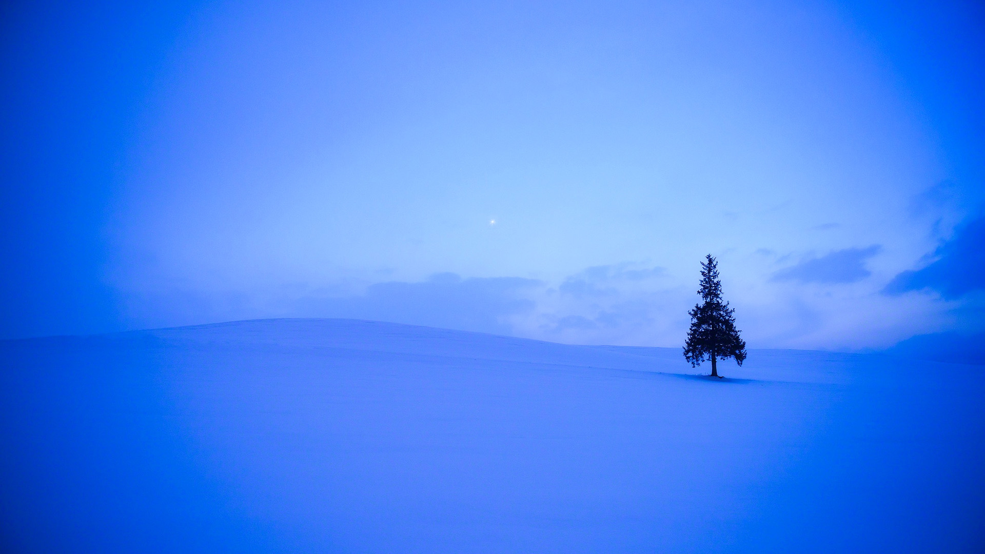 冬日田野雪后风景壁纸