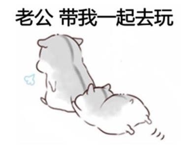 姐妹们找的老婆撩老公表情包来啦