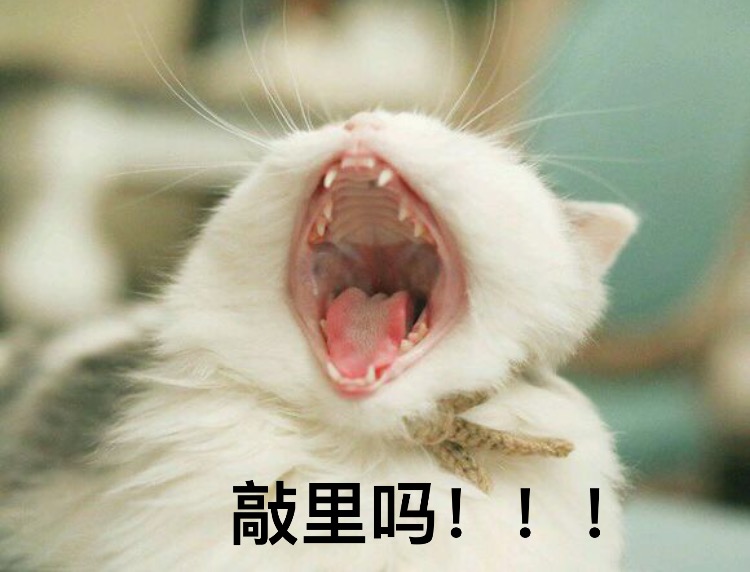 敲里吗！敲里lai lai 斗图表情包合集