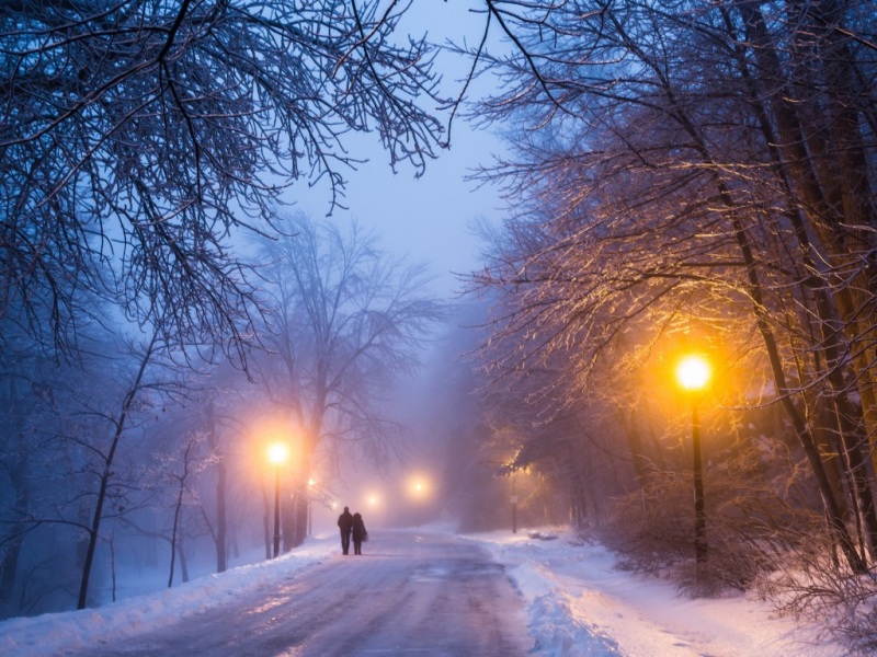 冬日夜晚林间情侣路灯雪景壁纸